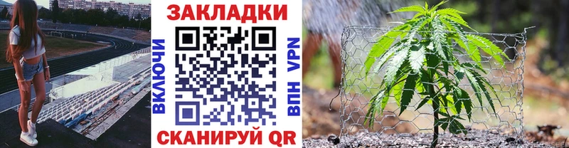 Где найти наркотики Мглин Псилоцибиновые грибы  ГАШИШ  kraken ТОР  КОКАИН  Конопля 