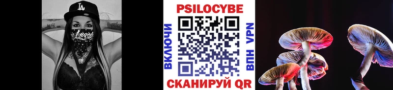 Галлюциногенные грибы Psilocybe  Мглин 
